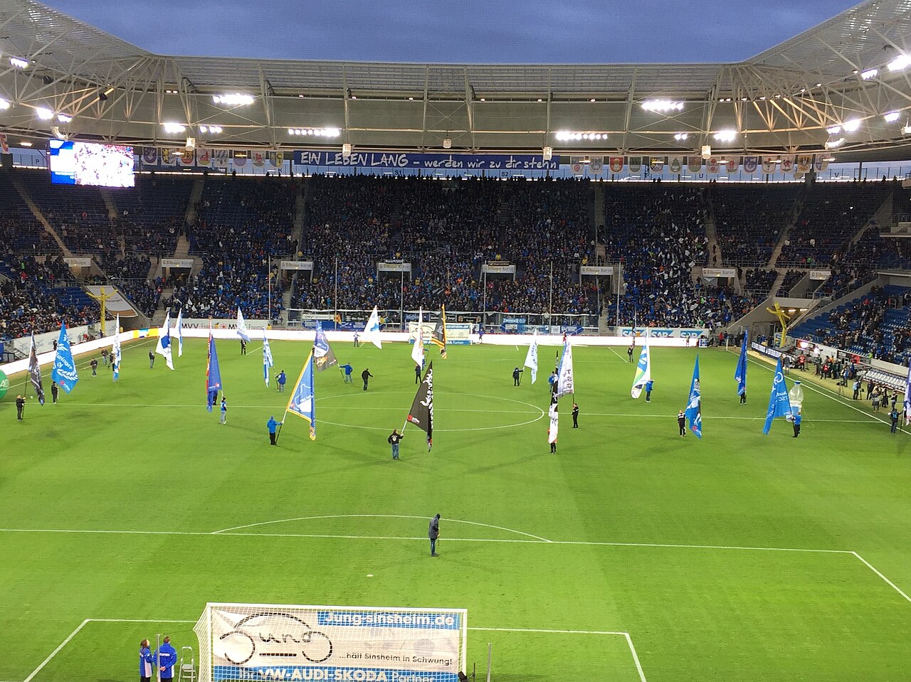 SNP Arena, à Sinsheim