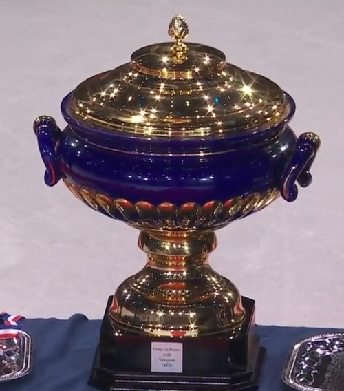 Coupe de France de football