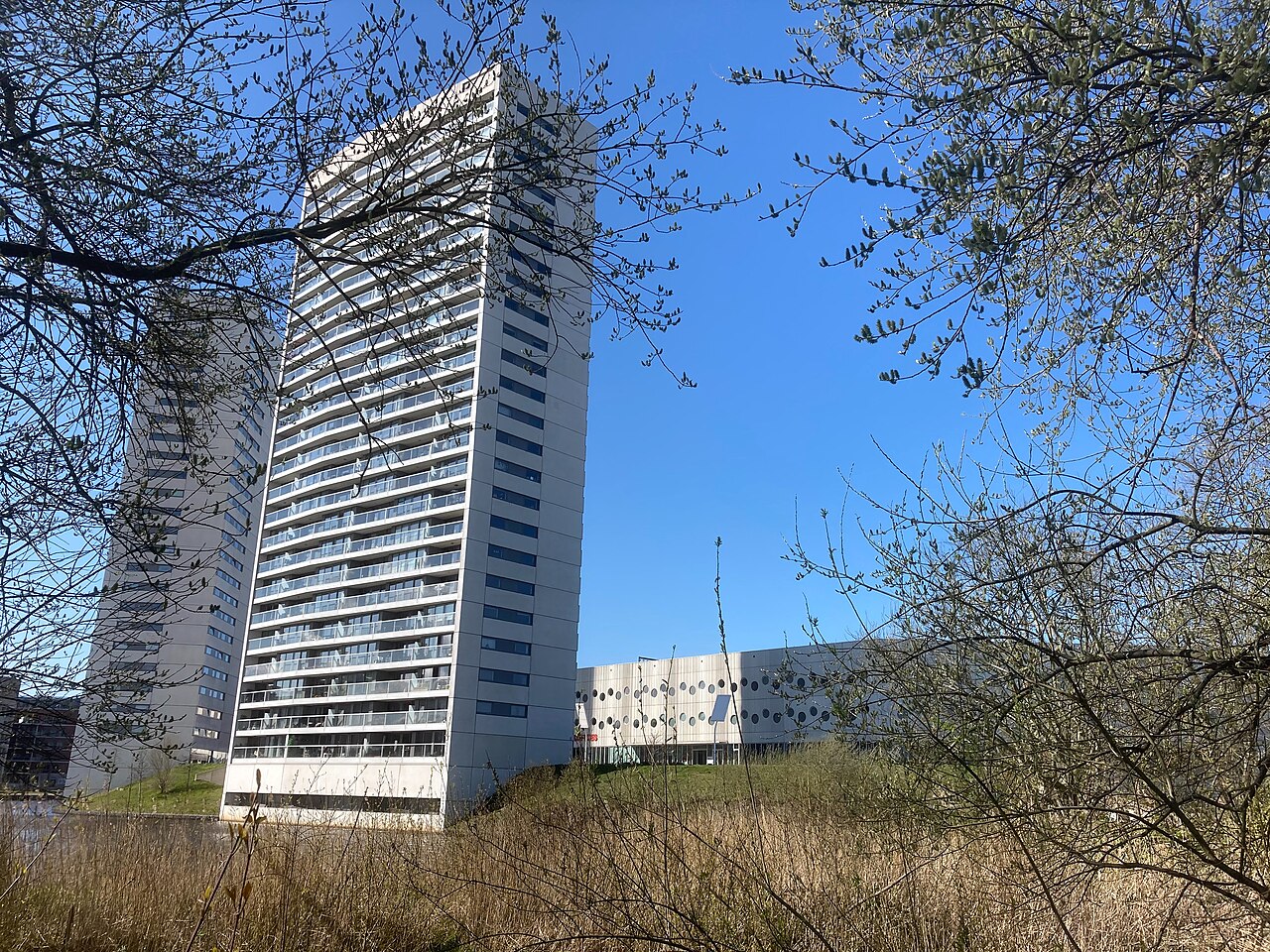 Le stade Euroborg, à Groninga